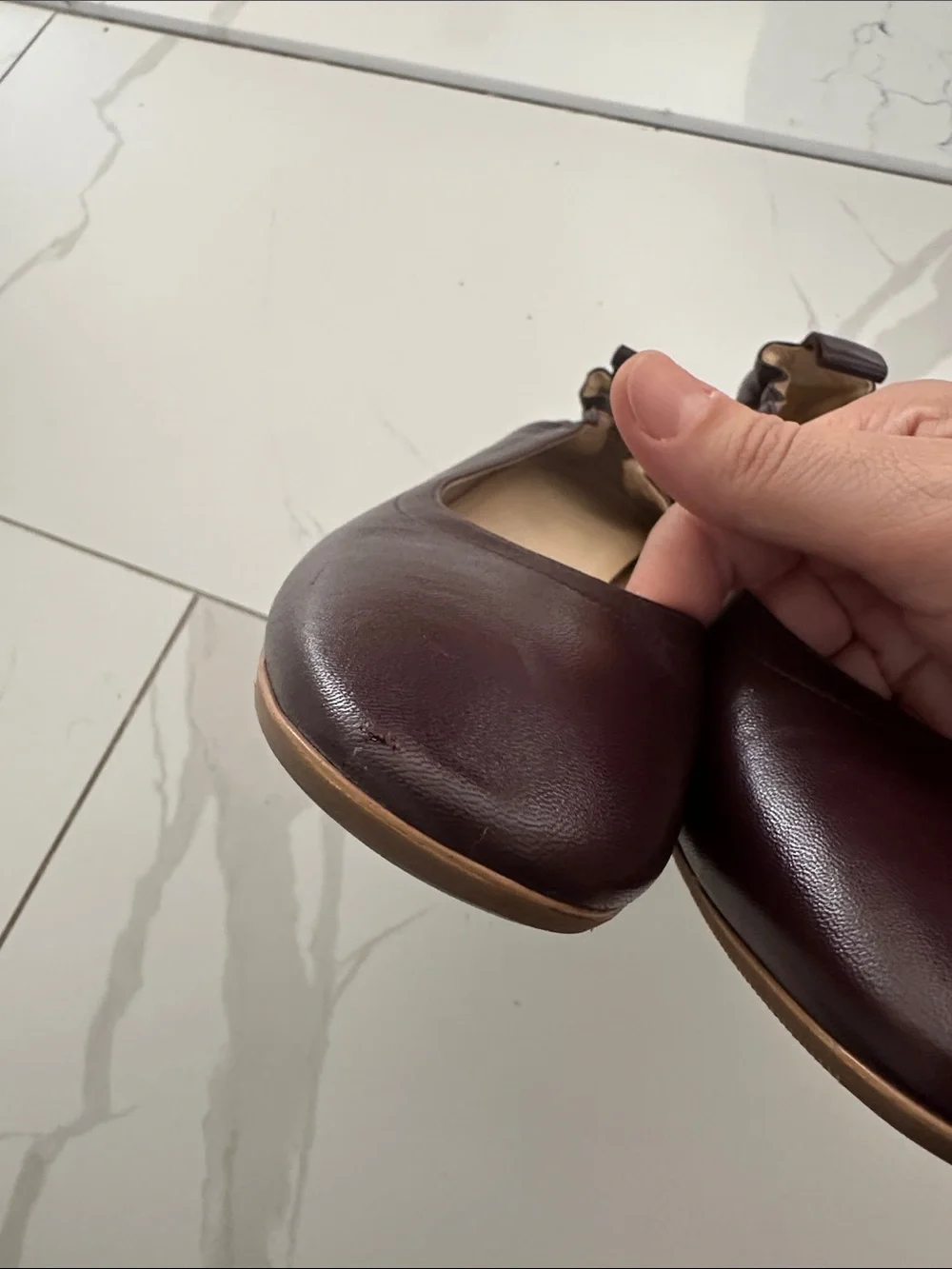 Everlane Day Heel Oxblood 8.5 Leather